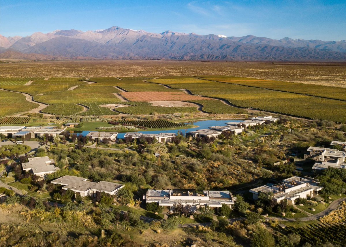 bormidayanzon's tweet photo. "Apenas nuestra mirada identifica la armonía materializada por Bormida &amp; Yanzon Arquitectos, The Vines Resort &amp; Spa deja al descubierto una elegancia absoluta, además de una notable hospitalidad con la que se recibe a cada uno de los visitantes." https://t.co/HgRn9lFMGa