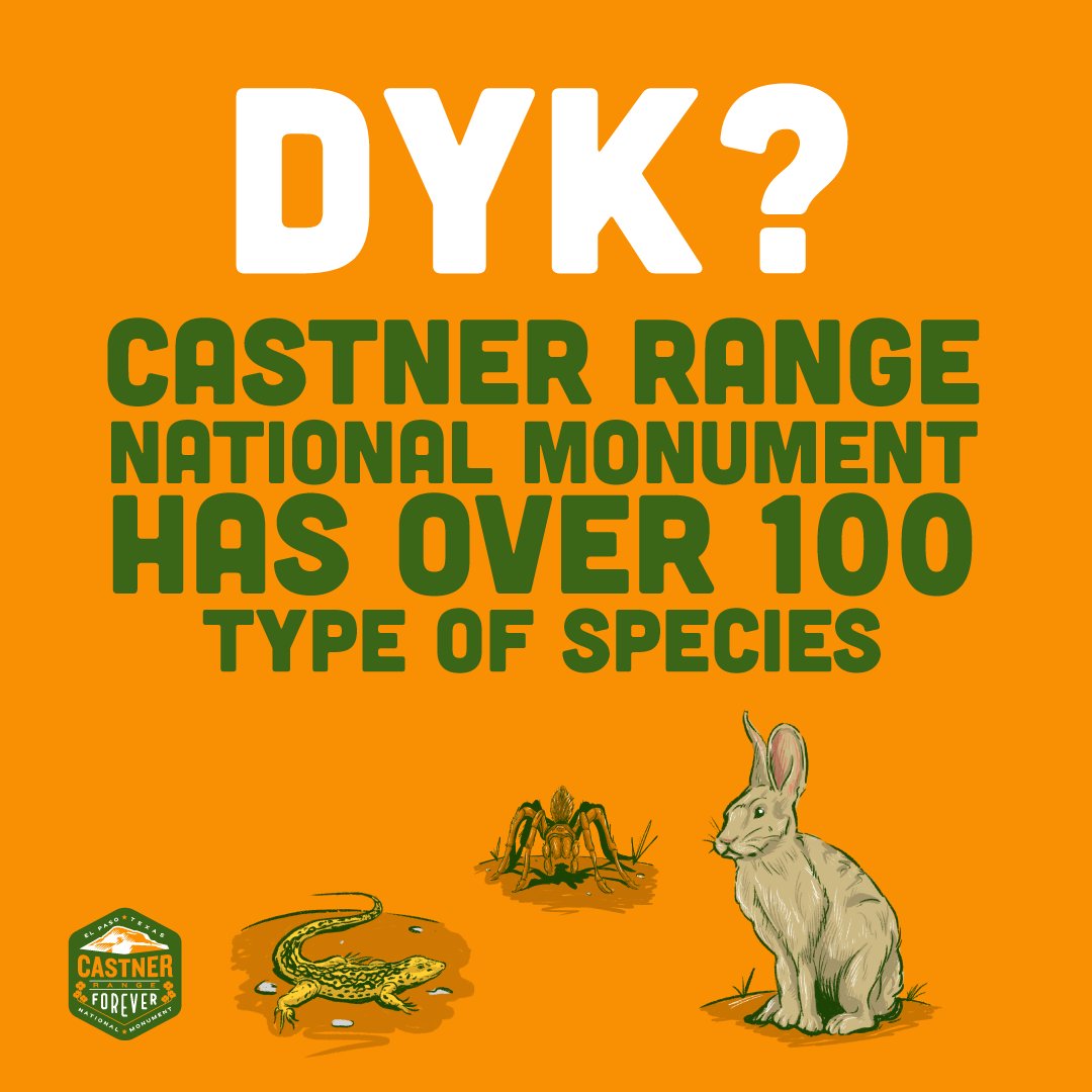 The Castner Range National Monument is full of beautiful wildlife! It has all kinds of mammals, including 62 bird species, 20 kinds of lizards, 29 types of snakes, and more. Learn more about Castner Range National Monument at CastnerRange.org. #Castner4Ever