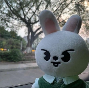 jinnieluvsnaru's tweet photo. otra vez pq ya no tngo la otra cuenta
Busco mutis!⁘
‣no soy nueva en #kpoptwt ni en #twt 
‣Stan skz, enhypen, twice, bts, xdinnary entre otros ღ 
‣lvs lknw ＆ ygn♡
‣support nmixx y 8turn
 ‣artistas fuera del kpop: Miranda, Los Redondos, entre otros. 
fb! https://t.co/iJ9sBf4mJV