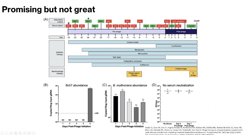 Fantastic review of phage therapy &amp; available evidence in lung transplant recipients by all-star TxpID fellow <a href="/mahalamri/">Maha al amri</a> at today’s <a href="/NM_Transplant/">Northwestern Medicine Transplant</a> <a href="/NM_Lung/">NM Pulmonary and Thoracic Surgery</a> Pulmonary Transplant journal club!  🫁 🦠