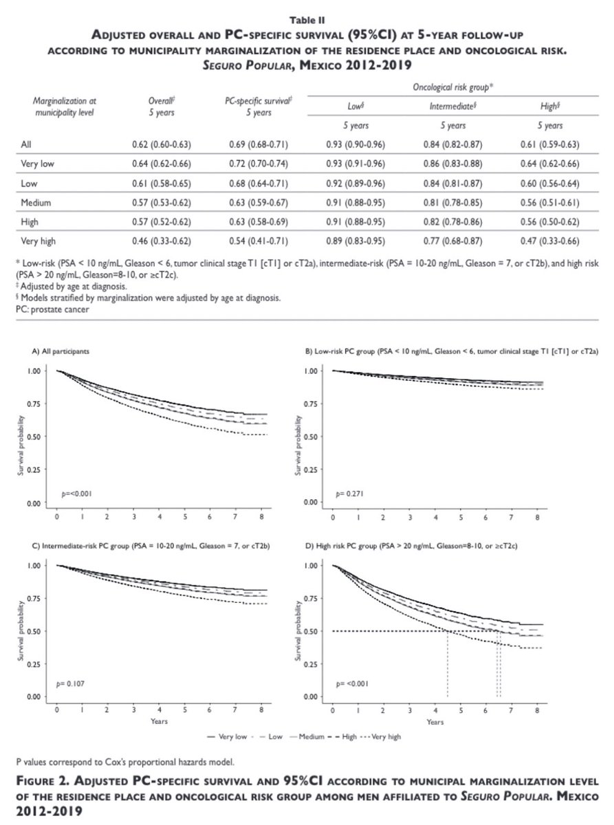 JGibranHP's tweet image. En este estudio encontramos que la supervivencia a 5 años de cáncer de próstata varía de acuerdo al nivel de marginación. 
Estas disparidades deben ser tomadas en cuenta.
@LajousMartin 
@DrFRodriguezCov 
@Draluisatorres 
@inspmx 
Link:
saludpublica.mx/index.php/spm/…