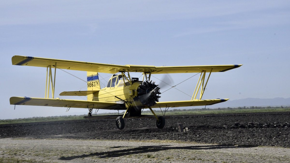 RD108Irrigation's tweet photo. Big yellow birds are starting to migrate into 108. Paul Sankey, Valley Air, in a round motor #AgCat on a #fertilizer run. #cropduster #plant2023 #carice @jhcarrion https://t.co/58NBVsHGWJ