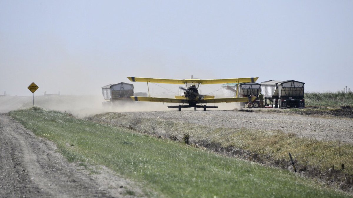 RD108Irrigation's tweet photo. Big yellow birds are starting to migrate into 108. Paul Sankey, Valley Air, in a round motor #AgCat on a #fertilizer run. #cropduster #plant2023 #carice @jhcarrion https://t.co/58NBVsHGWJ