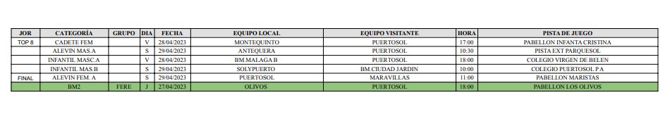 Balonmano Puertosol tweet media