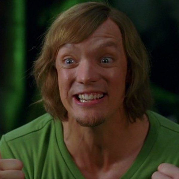 DynamoSuperX's tweet photo. bro played shaggy in animation and the live-action movies. the video games too.

he's literally the fucking character. https://t.co/xR0zYq7biZ