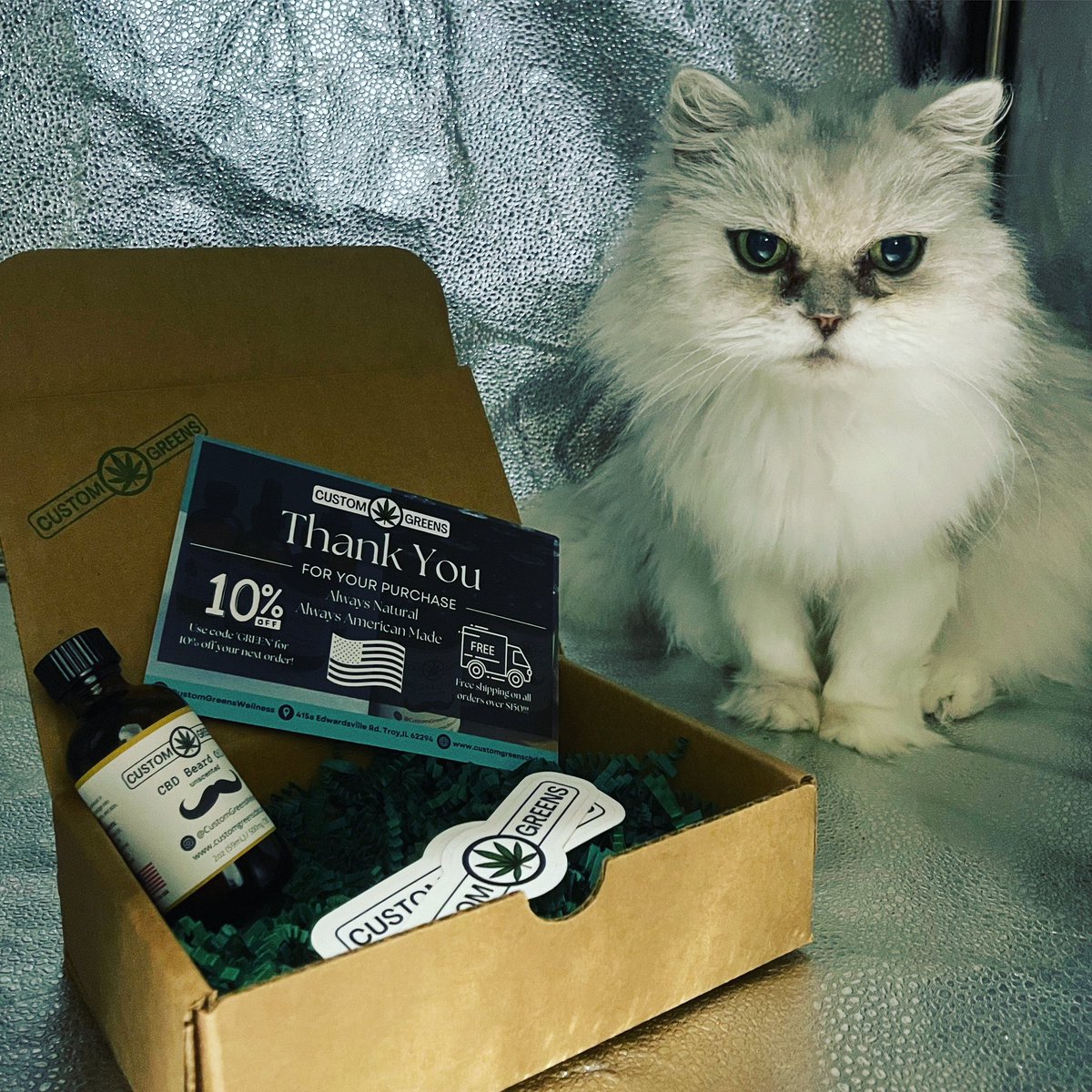 CustomGreens's tweet photo. We’d like to introduce our Employee of the Month: Director of Marketing Señor Boo-boo!! He’s a good kitty. 10/10 would pet daily. #Fluffy https://t.co/sk5MLtZk34