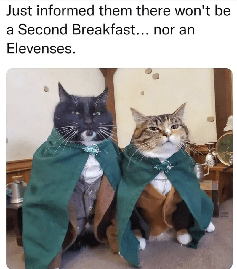 WholesomeMemes (@wholesomememe) on Twitter photo 