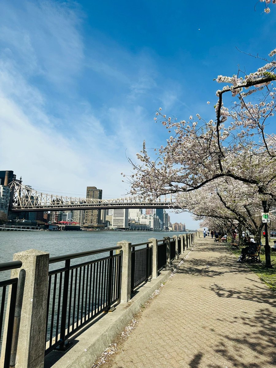 Life is a practice. The short is the journey, and the long is life. Traveling allows you to meet a better version of yourself.