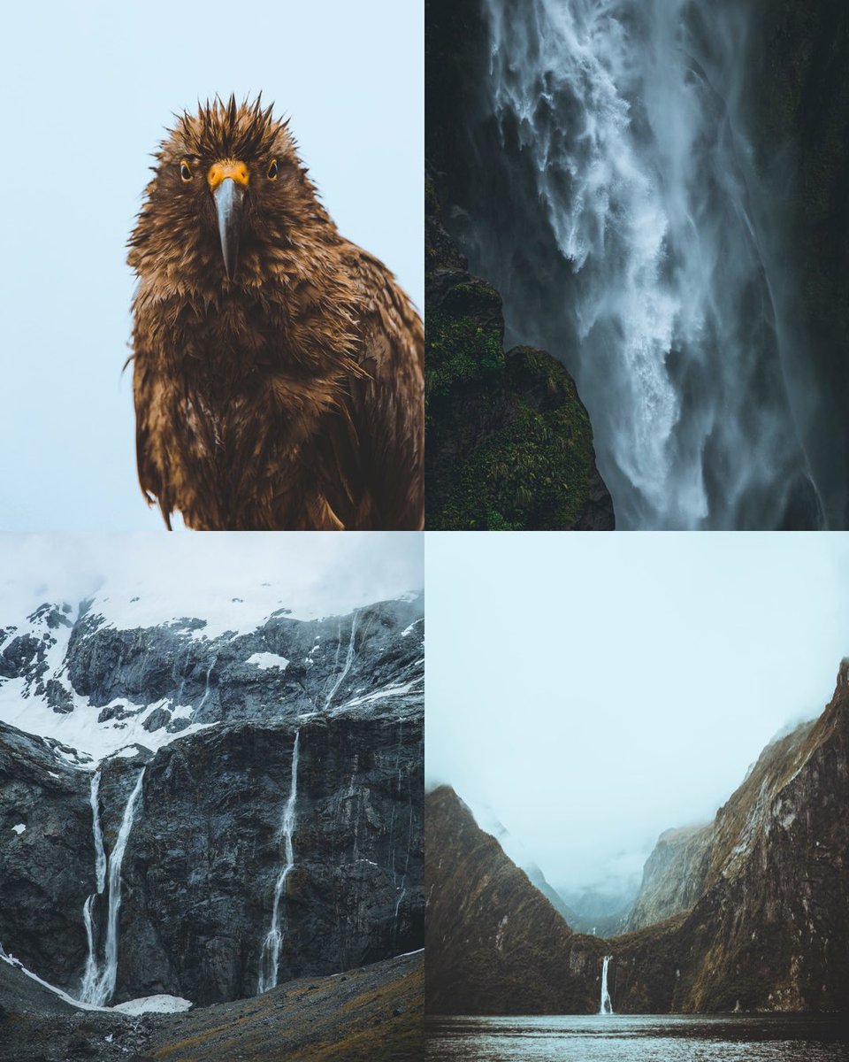 Moody photos I took in Fiordland 🇳🇿