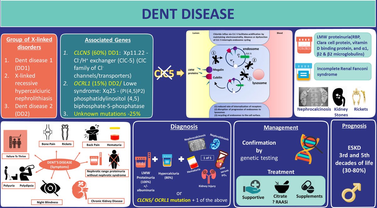 Check out this editorial on #DentDisease I co-authored with Dr. Arend Bökenkamp
Thank you🙏 for the opportunity <a href="/KIReports/">KIReports</a> 

kireports.org/article/S2468-…