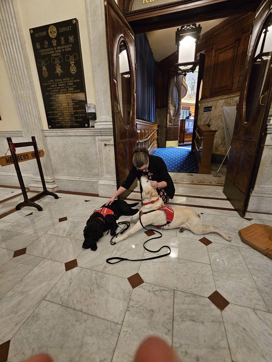 Natalie Higgins (@rep_higgins) on Twitter photo Verna and Loring understood the assignment. Second day of House Budget Debate has wrapped and I'm so glad to have made these 🐾 friends <a href="/NEADSdogs/">NEADS Service Dogs</a> <a href="/KimFergusonMA/">Kim Ferguson</a> Verna and Loring understood the assignment. Second day of House Budget Debate has wrapped and I'm so glad to have made these 🐾 friends <a href="/NEADSdogs/">NEADS Service Dogs</a> <a href="/KimFergusonMA/">Kim Ferguson</a>