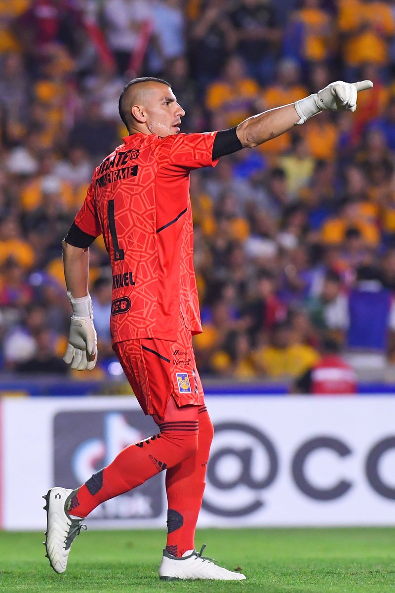 Club Tigres 🐯 tweet media