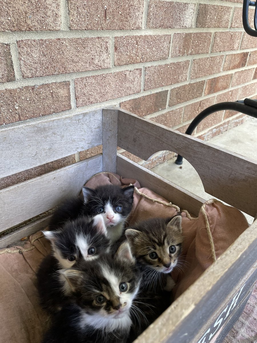 Blaze(StitcherMillie) tweet media