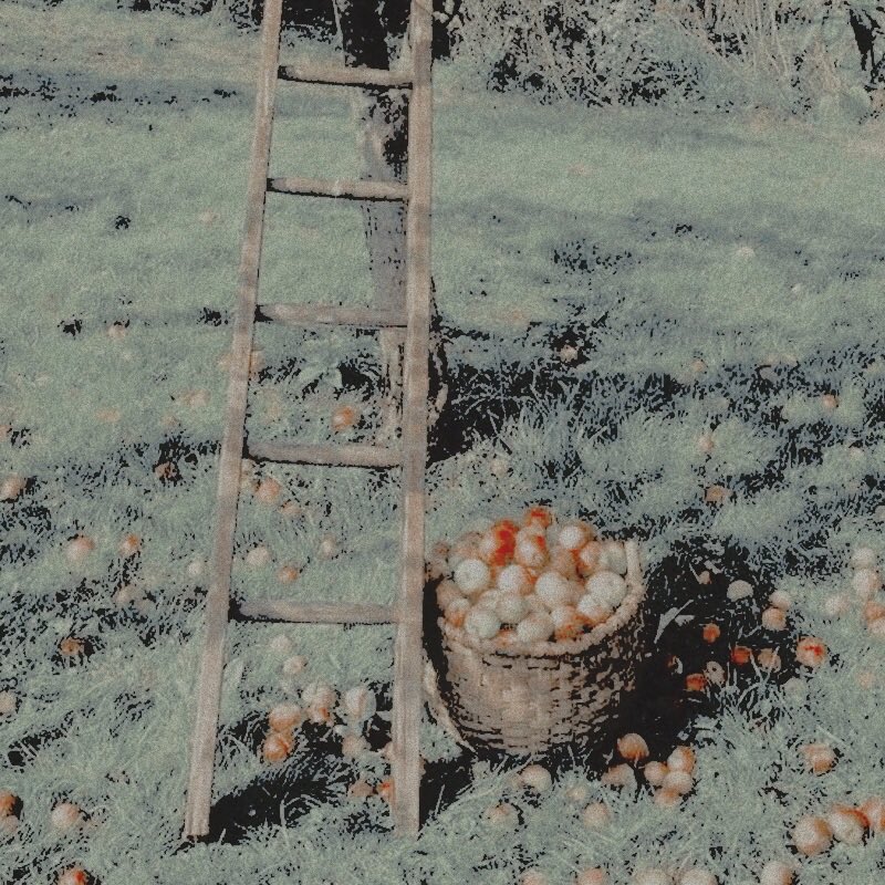 ︎ 
 ︎ 
        ไซม่อนเคยชินกับความโดดเดี่ยวมาทั้งชีวิต จนกระทั่งจอห์น แมคทาวิชยื่นมือเข้ามาผลักมันออกไป

        〝. .  วันหยุดยาวของหน่วยรบพิเศษ
                  กับการไปเยือนบ้านเกิดของ
                 @SOAPMACTAVISHTH  ،،  ˒˒
︎ 
 ︎