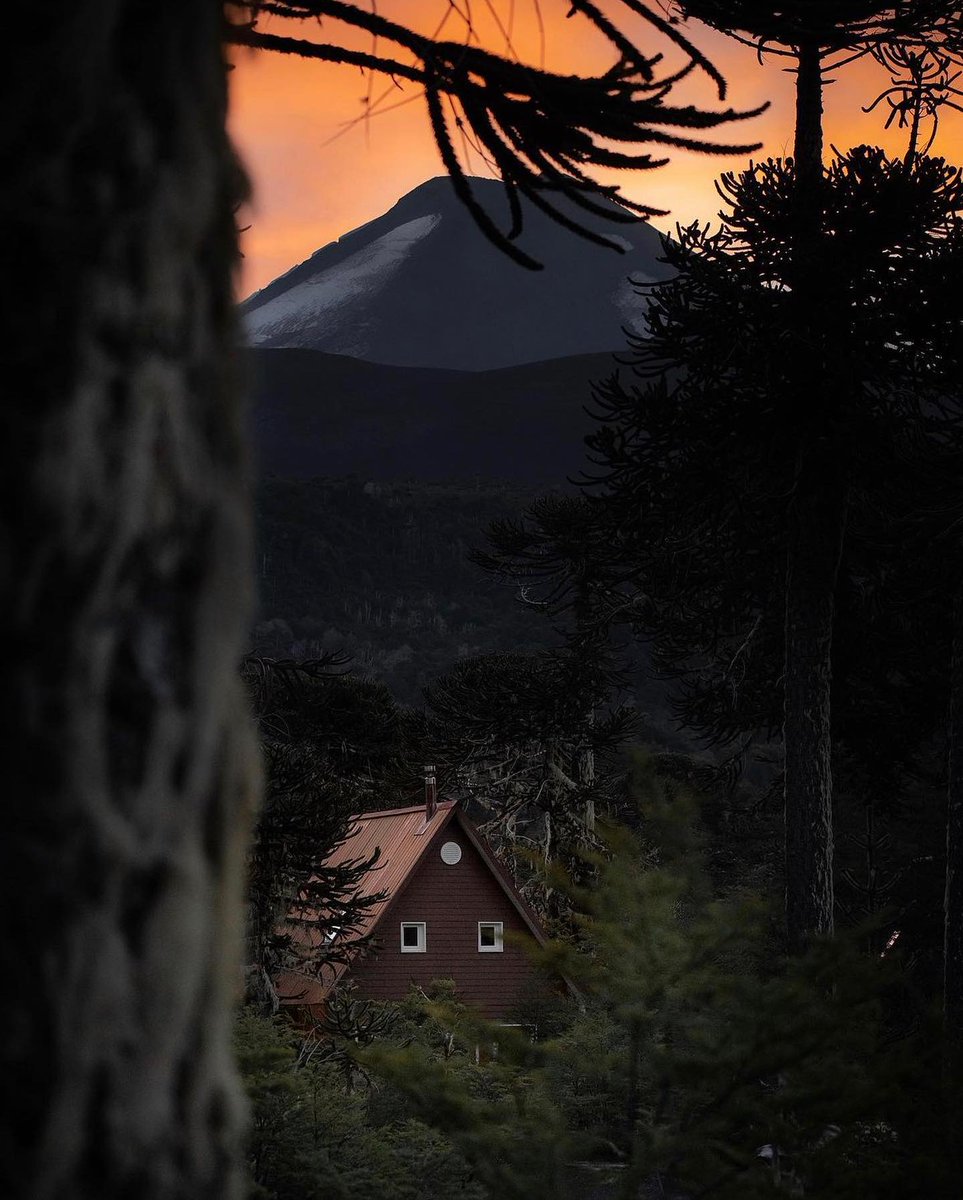 Chile Picture tweet media
