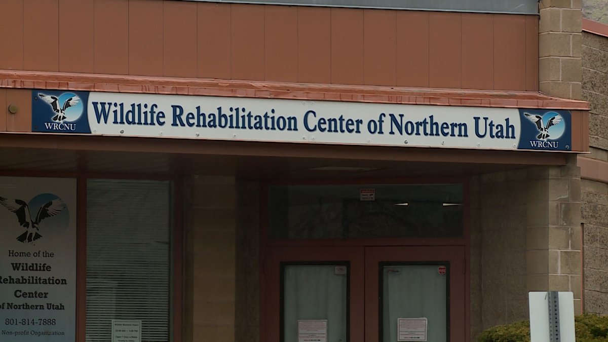 KSL_AlexCabrero's tweet photo. The Wildlife Rehabilitation Center for Northern Utah was recently told by Ogden City it will have to move by September. 4000+ animals are brought here a year after being injured. We're doing a story with the facility for our @KSL5TV 5:00 and 6:30 newscasts. #ksltv https://t.co/wokW5zy9G2