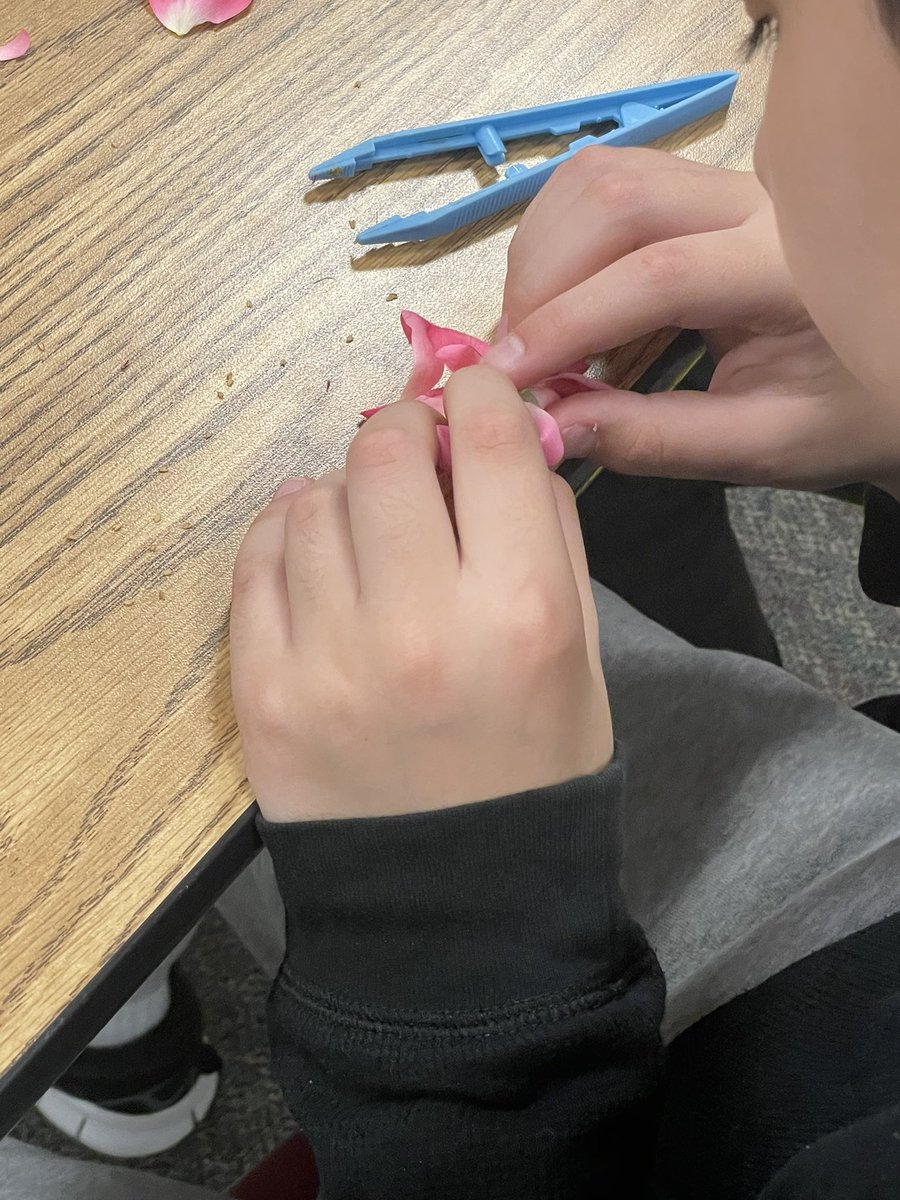 Ashley Hollander tweet media