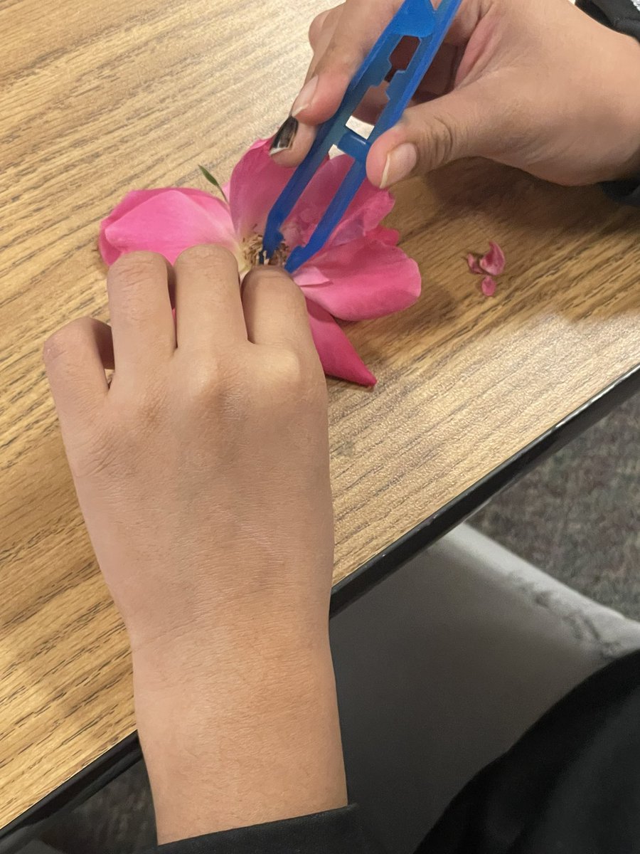 Ashley Hollander tweet media