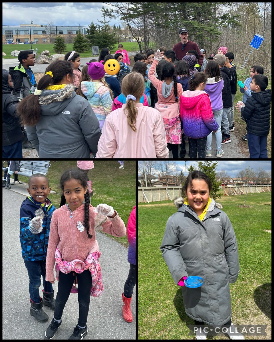 MsTighe's tweet photo. Making a difference with our own two hands🫶 

Today, the Gr. 1s and 2s participated in #CleanUptheCapital! We care about our world and our community 🌎 💙 🗑 ♻️ #ocsbBeCommunity @MrsFreel_OCSB @Mr_Gulick @ThomasMoreOCSB https://t.co/MvuqqYLzs2