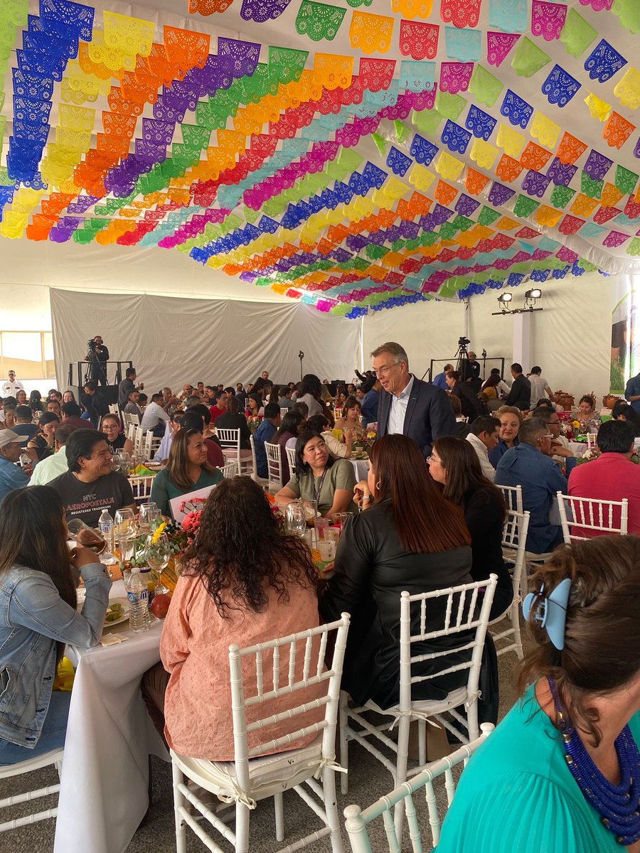 MartinKropff tweet media