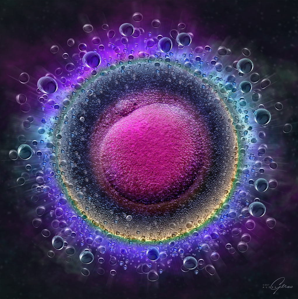 Did you know that the ovum is the largest cell in the human body? Our latest newsletter post by Audra Geras dives into the Mighty Ovum's Essential Role in Reproduction.  
thewebergrouup.net #TWG #ArtRep #medicalIllustration #AudraGeras #BiomedicalArt #ScienceArt #MedicalArt