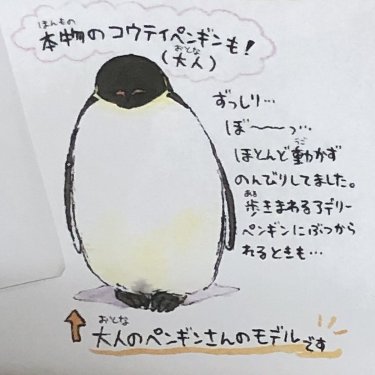 @k_r_r_l_l_ 世界ペンギンデー🐧
今では絶滅の恐れのあるペンギンさんの保護や環境問題をみんなで考えてゆきたいね🐧