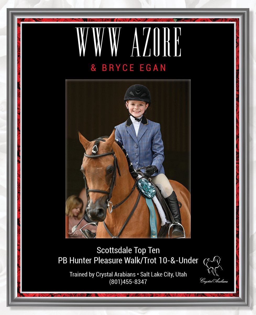 NH_Arabian's tweet photo. #nationalhorsemanarabian #scottsdalearabian #bryceegan #crystalarabians #hunterpleasure #arabianhorse https://t.co/3KB3NYBnbg