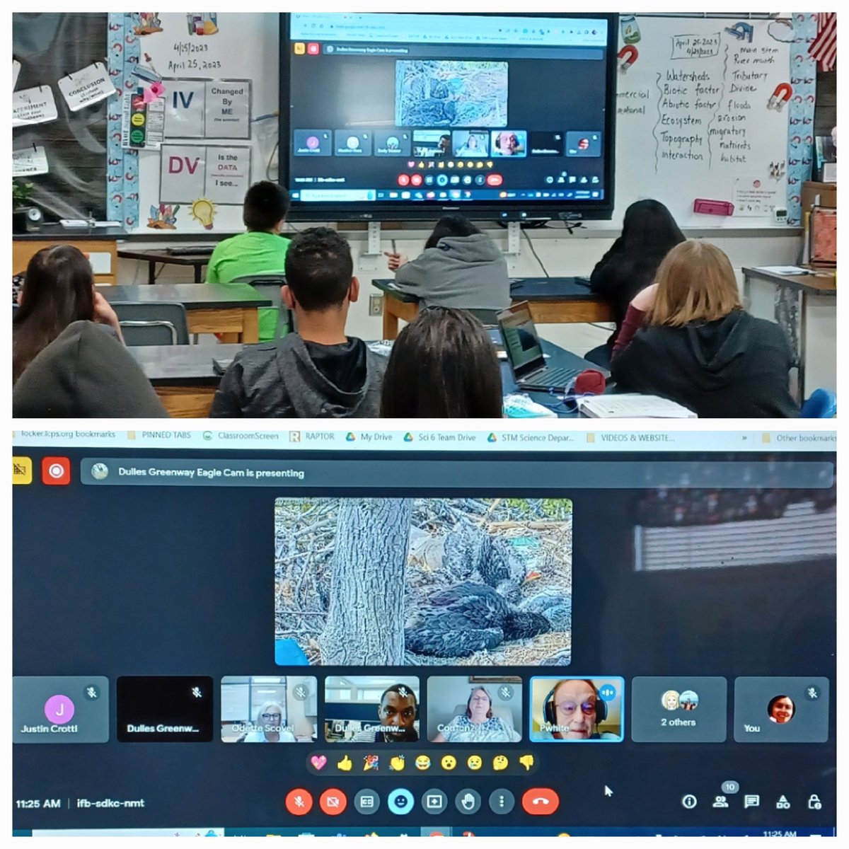 @sterlingmiddle1 Ss posed thoughtful Qs during a classroom chat session with experts from <a href="/EaglesGreenway/">Dulles Greenway Eagle Cam</a> to learn about the bald eagles' habitat, life cycle, behaviors, and food choices. We can't wait to suggest official names for DG3, DG4 &amp; DG5 🦅🦅🦅