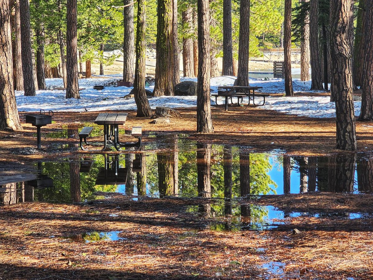 Stanislaus_NF's tweet photo. Snow is melting at Pinecrest. There is still snow on the ground and lots of water, puddles, and ice. The bathrooms and parking lots are open, and the path is cleared. Please pack out your trash. The trash cans are available, but some are still blocked by snow. Happy Spring! https://t.co/uyaIeZvoRx