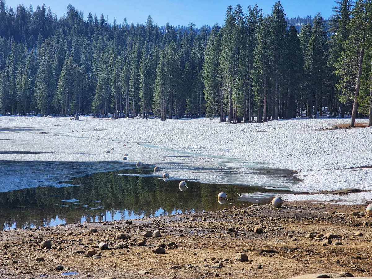Stanislaus_NF's tweet photo. Snow is melting at Pinecrest. There is still snow on the ground and lots of water, puddles, and ice. The bathrooms and parking lots are open, and the path is cleared. Please pack out your trash. The trash cans are available, but some are still blocked by snow. Happy Spring! https://t.co/uyaIeZvoRx