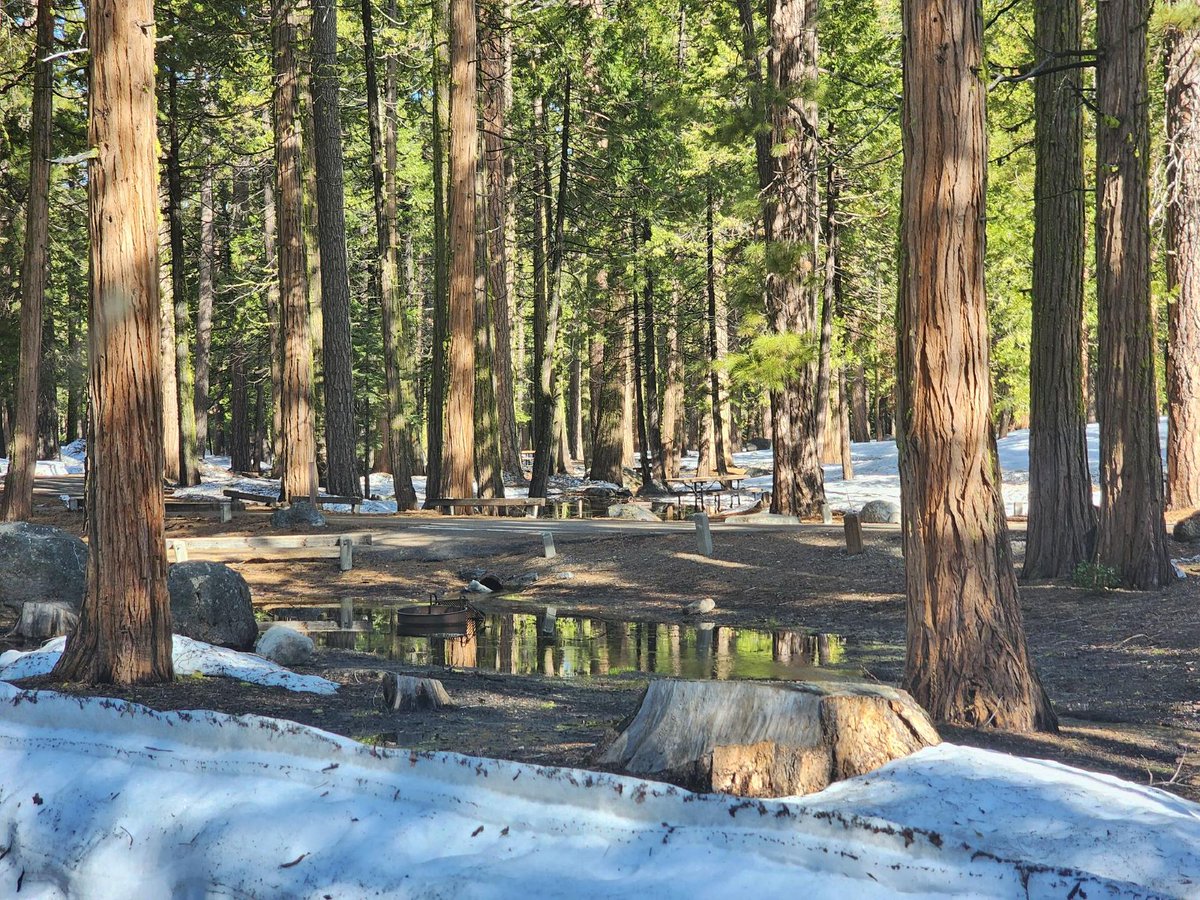 Stanislaus_NF's tweet photo. Snow is melting at Pinecrest. There is still snow on the ground and lots of water, puddles, and ice. The bathrooms and parking lots are open, and the path is cleared. Please pack out your trash. The trash cans are available, but some are still blocked by snow. Happy Spring! https://t.co/uyaIeZvoRx