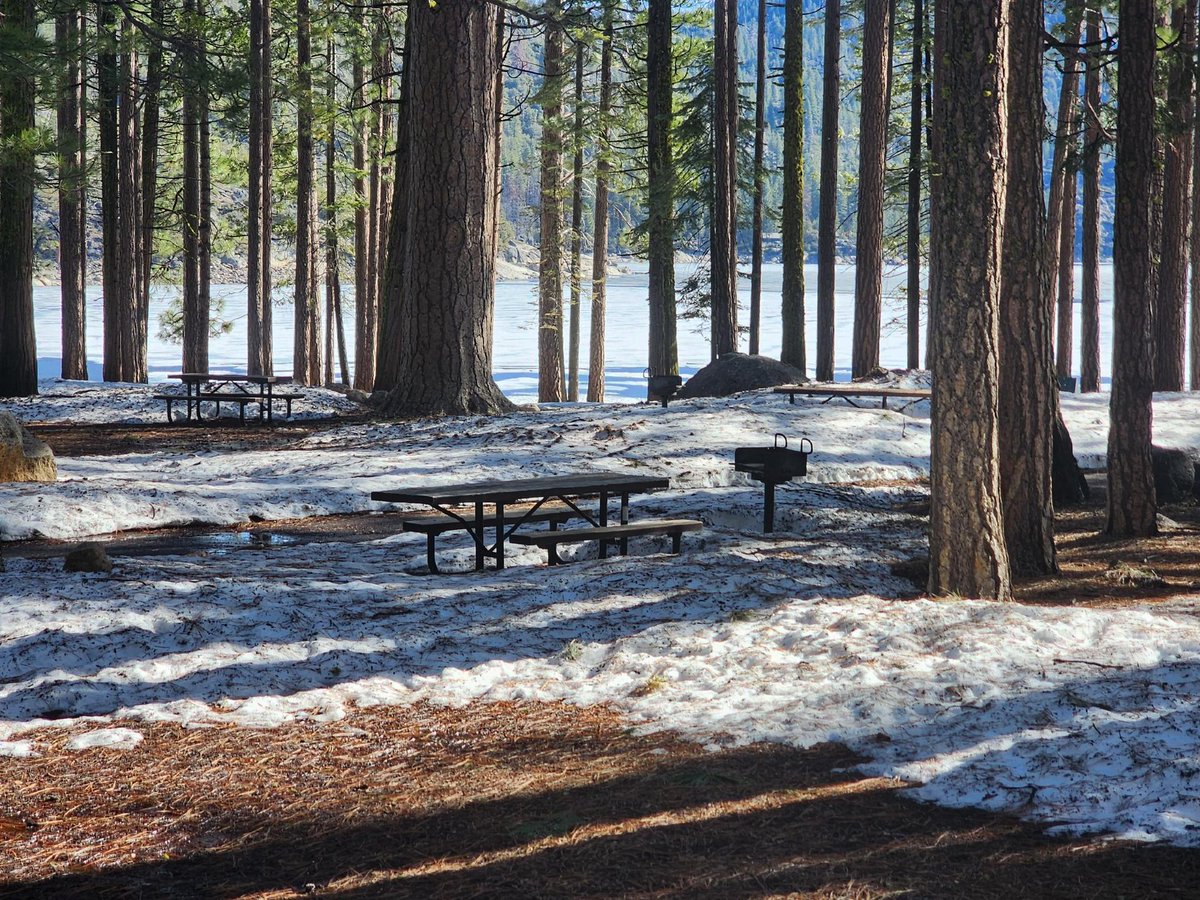 Stanislaus_NF's tweet photo. Snow is melting at Pinecrest. There is still snow on the ground and lots of water, puddles, and ice. The bathrooms and parking lots are open, and the path is cleared. Please pack out your trash. The trash cans are available, but some are still blocked by snow. Happy Spring! https://t.co/uyaIeZvoRx
