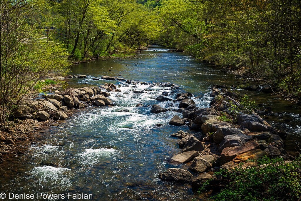 Down Cabin Creek.
.
.
#pin #wondergrams #springinwv #april #westvirginia #cabincreek #kanawhacounty #coalcountry #waterscape #appalachia #backroads #countryroads #placewhereibelong #naturelovers #rocksandrills #almostheaven #spring instagr.am/p/CreectBMWc6/