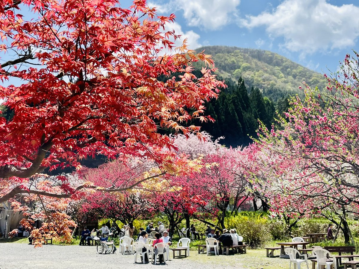 花桃の里 長野県