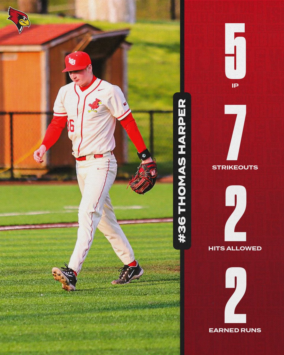 7⃣ K's for Harp 🫡