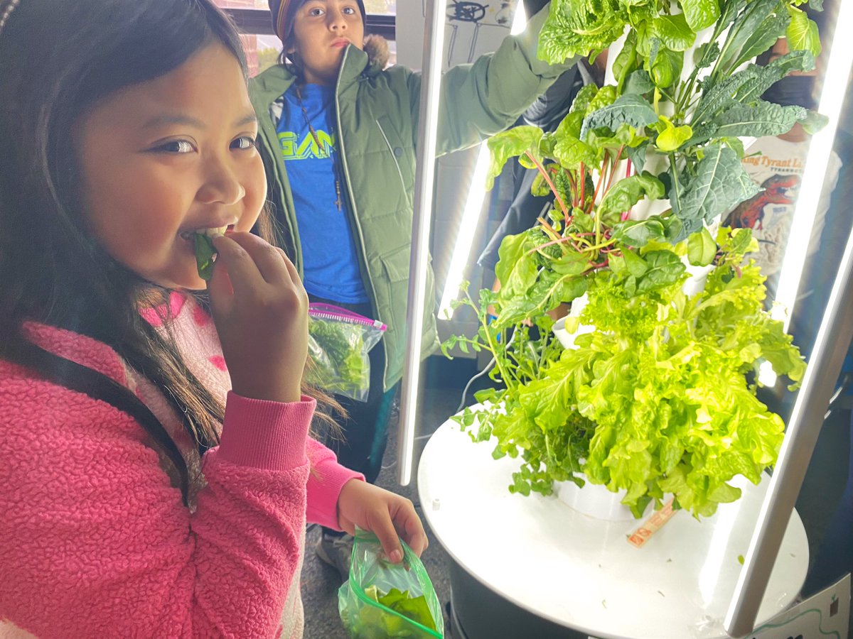 D54ArmstrongArt's tweet photo. 🪴 Harvest Day 🪴 Today was our first harvest day in Garden Club! Ss took home a bag of different lettuces from our @TowerGarden ! We even did some taste tests 🍃 &amp; measured our PH levels! #D54 #D54Armstrong https://t.co/4qdOUDX9m3