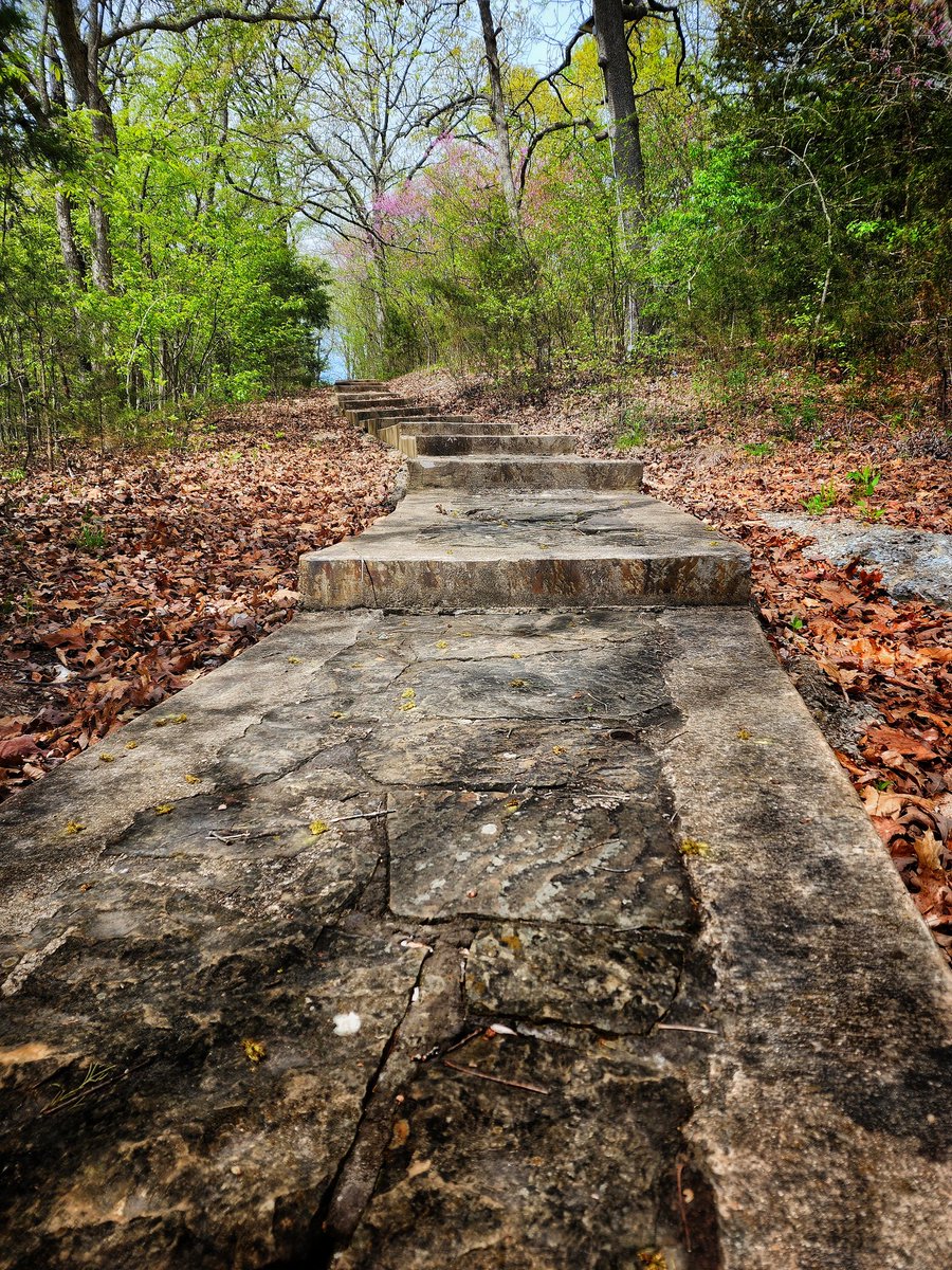 BLBPhoto_91's tweet image. #stonesteps #steos #stairs #trees #nature #mobilephotography #mobile #mobilephotographer #samsung #samsungphotography #galaxys22ultra #edited #snapseed