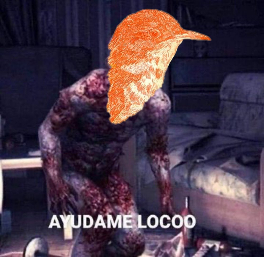 Cago el hornero