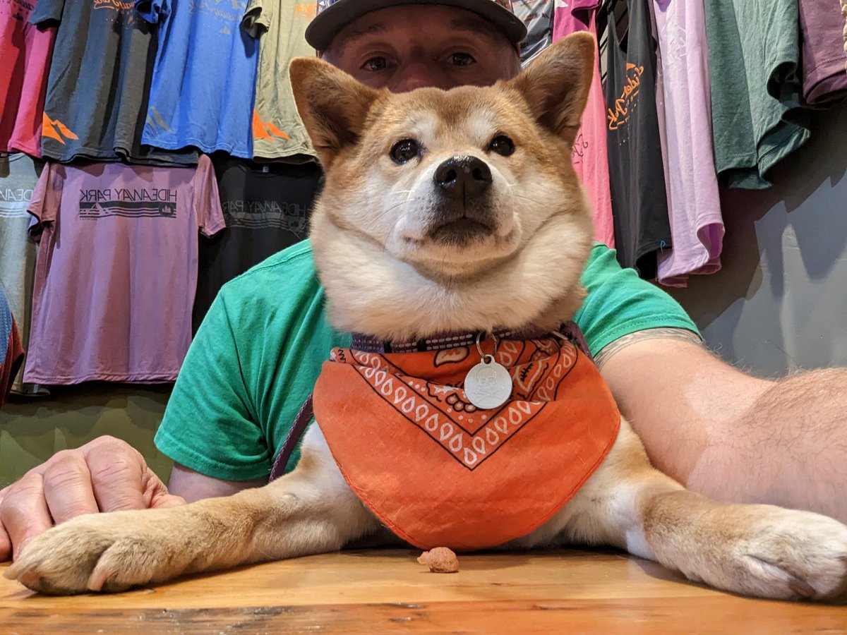 ShibaMoxie's tweet image. Mountain dog in training...
@HideawayPark #WinterPark #brewery #brewerydog #mountaindog #training #Colorado #winter #shiba #shibainu #kawaii #dogsoftwitter