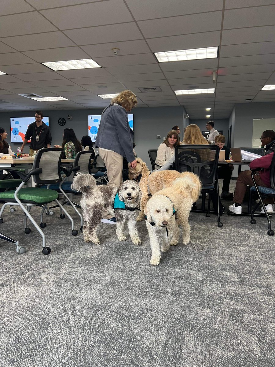 Today was Seal of Biliteracy Day @BroomeBOCES! We had 80 students from 10 districts present in 15 languages! Special shout out to Wrigley & Sulley from @OAUpdate and Koia from @UECSDTigers for spending the day with us and providing some much needed stress relief!