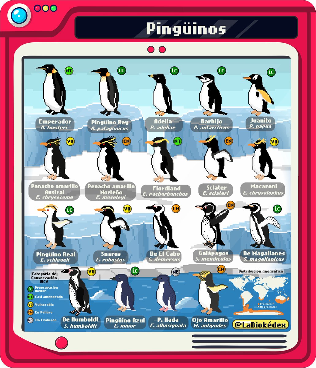 LaBiokedex's tweet photo. 🐧 Hoy es el Día Mundial de los #Pingüinos 🐧 y es importante reconocer a estas elegantes y carismáticas aves que habitan unicamente en el hemisferio sur y se caracterizan por sus adaptaciones corporales para nadar y bucear. https://t.co/pthKeK1DUS