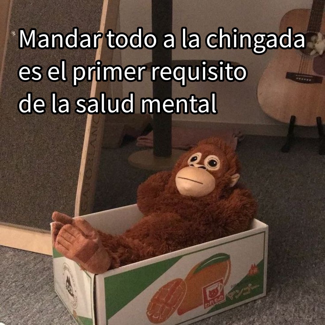 Tranqui 🐒