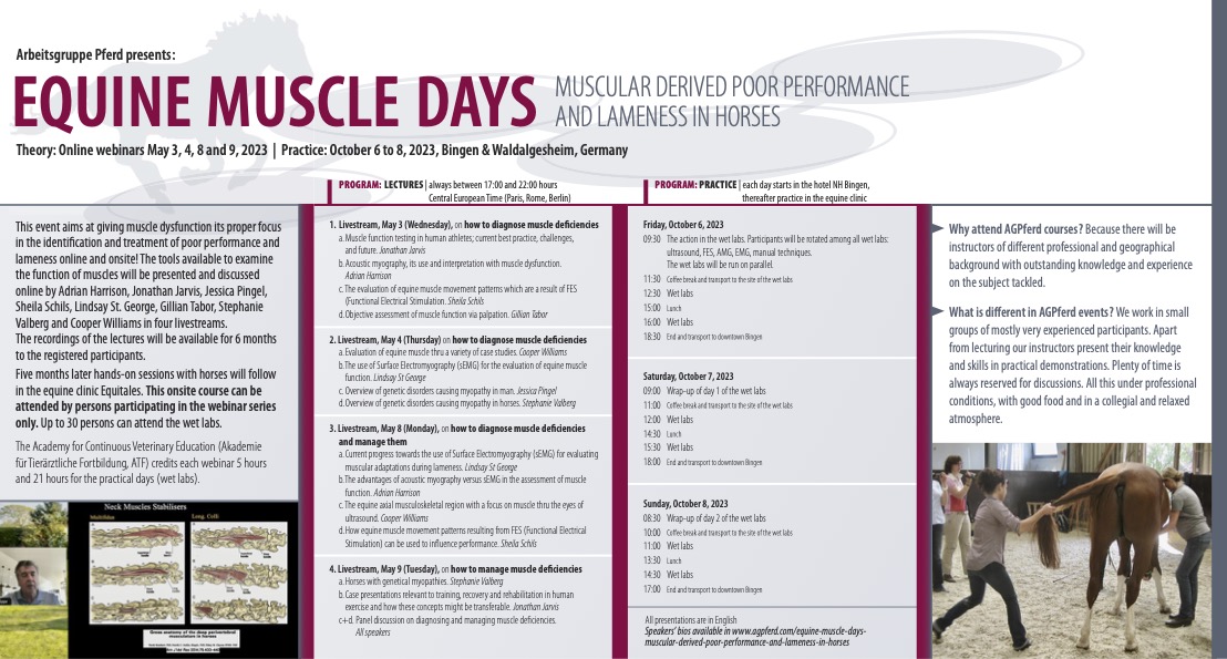 EquiNew's tweet photo. REMINDER!!

Don't forget to sign up for the upcoming webinar on muscle dysfunction and how it relates to diagnosing and treating poor performance and lameness that Dr. Schils will be speaking at! 

For more information, take a look at the brochure below! https://t.co/5nH8lbTIyX