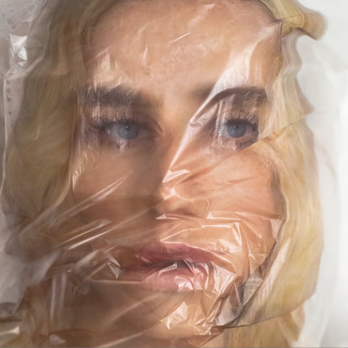 Look at all the money we made off me keshaofficial.com