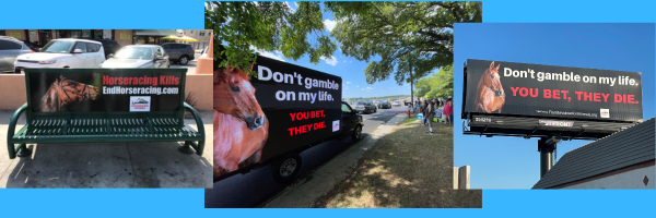 racingwrongs's tweet photo. Over the past three years, our billboard campaigns have had a significant impact in raising awareness about the dangers of #HorseRacing Help us continue this important work by donating to our #SpringCampaign today. #EndHorseracing
#HorseraingKillsHorses
https://t.co/pyzTSme8Rb https://t.co/tOMEKpLDBR