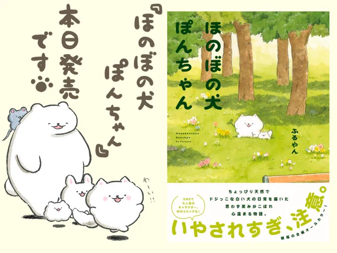 『ほのぼの犬ぽんちゃん』
本日発売です🎉

皆さまの応援のおかげで夢だった書籍を出すことができました。
本当にありがとうございます!🐶
https://t.co/qBFWJqrYwP 