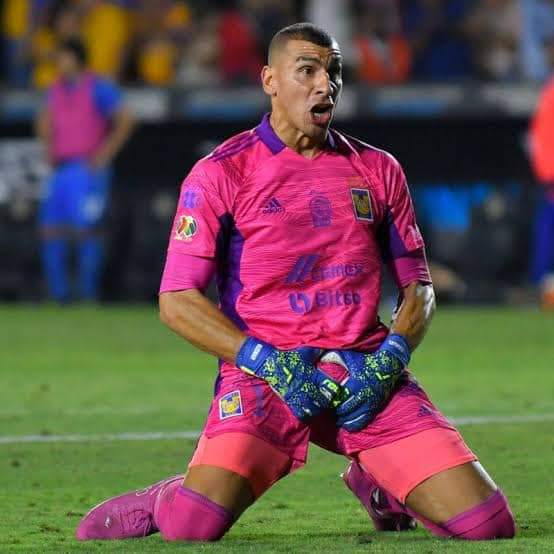 FAFHOO (Oficial) tweet media