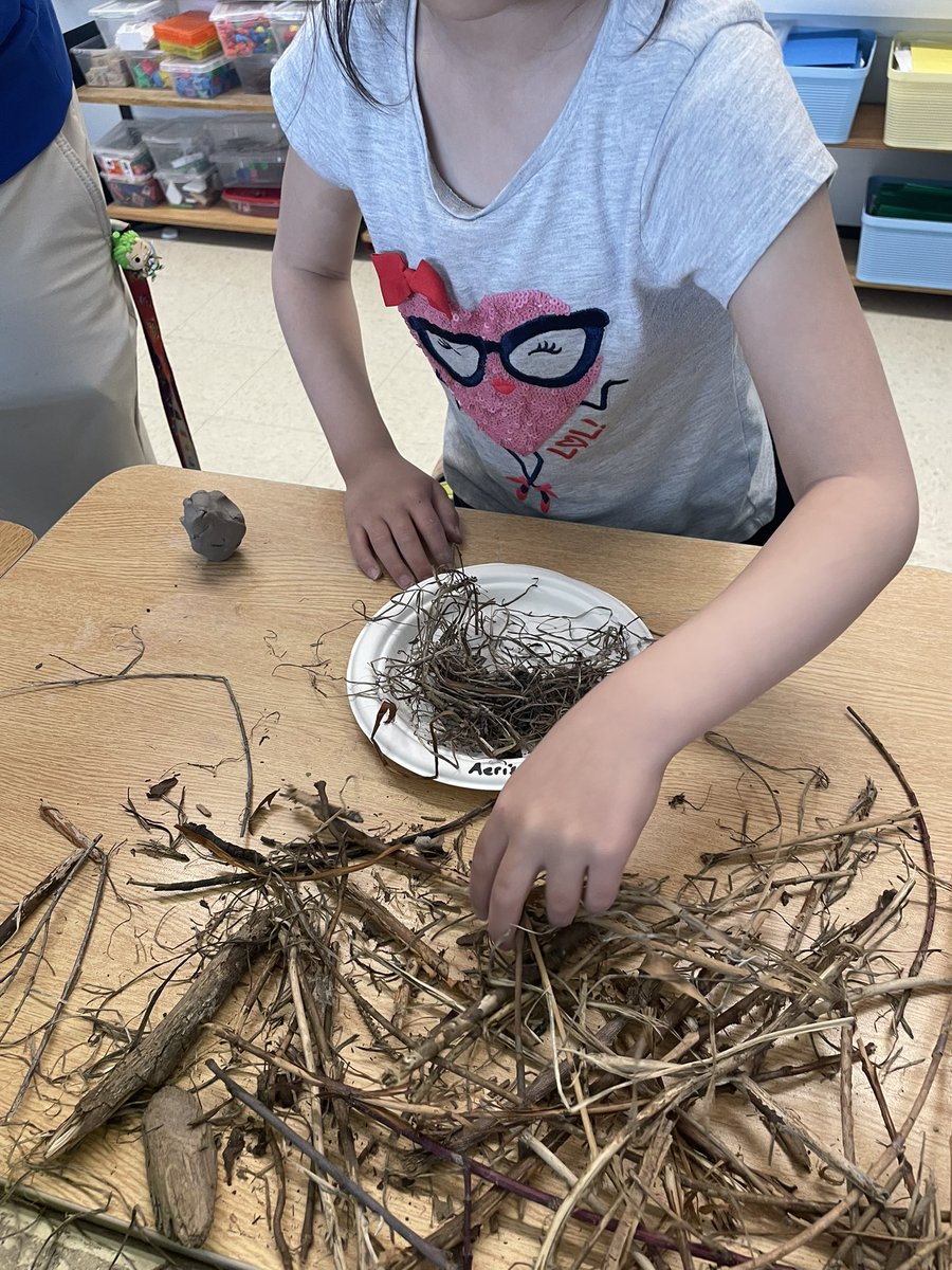 Thank you to <a href="/ldnchildmuseum/">London Children's Museum</a> for teaching us how to identify nests and showing us how to build them! <a href="/BSCS6/">Blessed Sacrament</a> <a href="/LDCSB/">London District Catholic School Board</a>