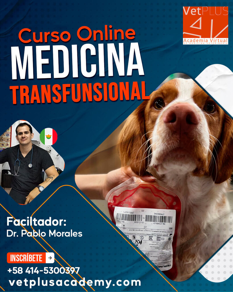 vetplusacademy's tweet photo. La medicina transfusional es una disciplina científica que tiene un alto nivel de importancia, ya que abarca un amplio campo de conocimientos en cuanto a la producción, distribución y administración de elementos sanguíneos tales como hemoderivados o hemo… https://t.co/gp3NgjDke6 https://t.co/6EuhQ6BDEQ