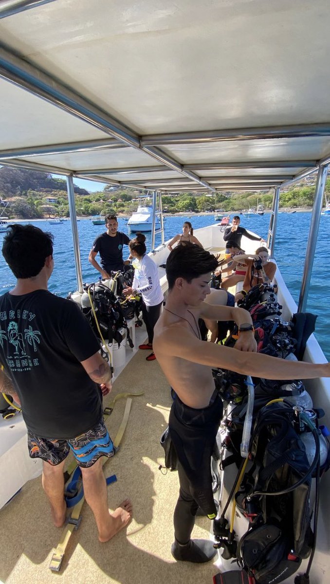 SeabumsNFTs's tweet photo. Underwater cleanup in Costa Rica with Seabums community  member @andy_puravida with @thecleanwave_  
Thank you for your efforts in keeping our beaches and oceans clean!
♻️ 🌊 🌎 
#SeabumsNfts #NFTSforgood #oceanconservation https://t.co/SrZQQqrSaj